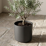 Load image into Gallery viewer, Elho B.for soft - Anthracite - Ø24cm - ↕24cm