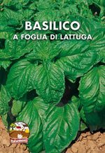 Load image into Gallery viewer, BASIL SEED KIT | 5 Seed Packets | Classic Italian (Genovese) – Red – Lemon – Cinnamon – Lettuce Leaf