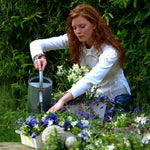 Load image into Gallery viewer, Anemone coronaria 'De Caen' - 15 Bulbs