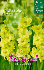 Load image into Gallery viewer, Gladiolus ‘Greenstar’ Bulbs (7)