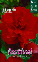 Load image into Gallery viewer, Dark Red Double Begonia Bulbs (3)