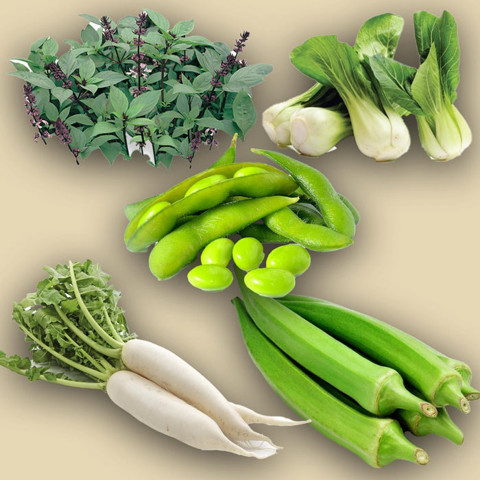 JAPANESE SEED KIT | 5 Seed Packets | Thai Basil (Licorice Basil) | Daikon (Japanese Radish) | Edamame (Soybean) | Okra (Clemson Spineless) | Pak Choi (Chinese Cabbage)