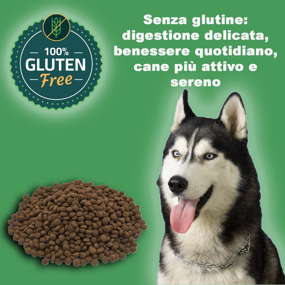 Grain-Free Sportline 31/30 Dog Kibble (3 kg) - 100% Natural Ingredients