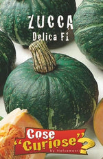 Load image into Gallery viewer, KIT DI SEMENTI DI ZUCCA EDIBILE | 5 Bustine di SEMI | Zucca BUTTERNUT - Zucca DELICA - Zucca MARINA DI CHIOGGIA - Zucca MUSQUEE DE PROVENCE - Zucca RED KURI