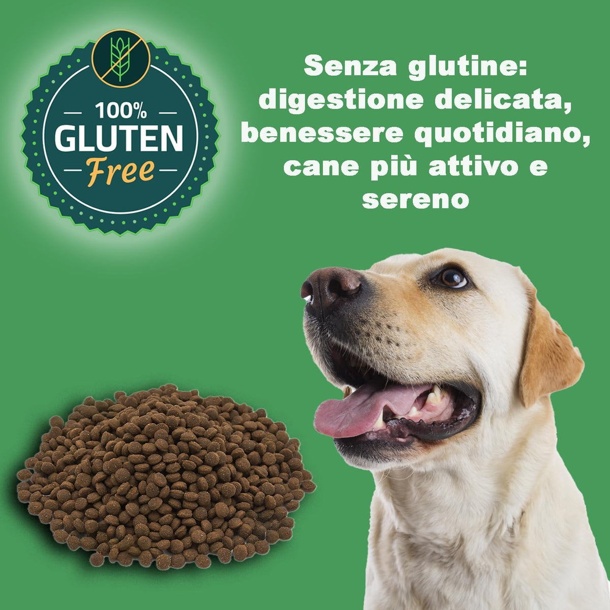 Adult Dog Kibble MEDIUM ENERGY (3 kg) - 100% Natural Ingredients