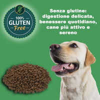 Adult Dog Kibble MEDIUM ENERGY (3 kg) - 100% Natural Ingredients