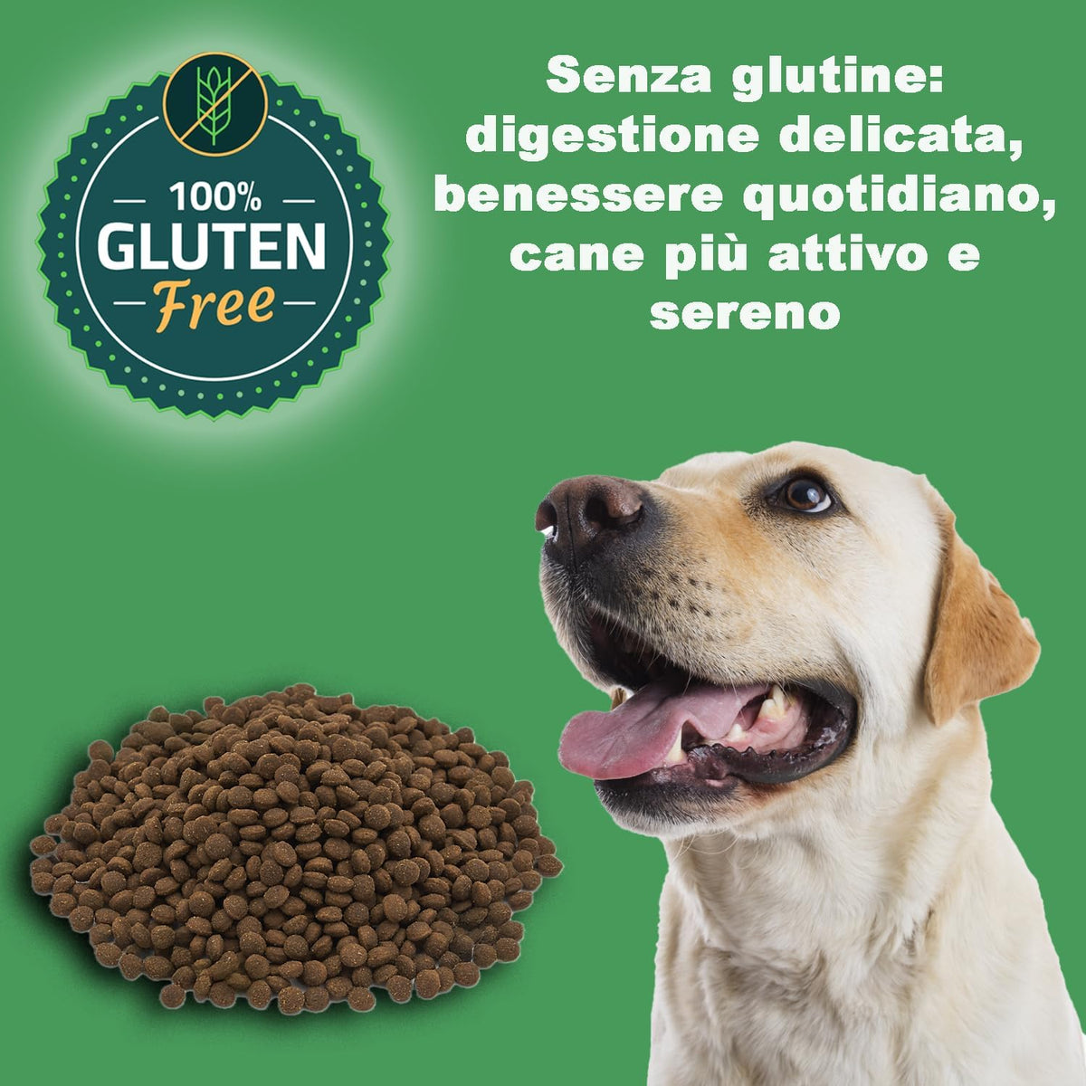 Hypoallergenic Salmon Kibble for Senior Dogs (3 kg) - 100% Natural Ingredients