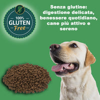 Hypoallergenic Salmon Kibble for Senior Dogs (3 kg) - 100% Natural Ingredients