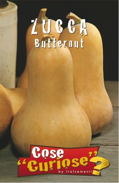 KIT DI SEMENTI DI ZUCCA EDIBILE | 5 Bustine di SEMI | Zucca BUTTERNUT - Zucca DELICA - Zucca MARINA DI CHIOGGIA - Zucca MUSQUEE DE PROVENCE - Zucca RED KURI