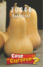 KIT DI SEMENTI DI ZUCCA EDIBILE | 5 Bustine di SEMI | Zucca BUTTERNUT - Zucca DELICA - Zucca MARINA DI CHIOGGIA - Zucca MUSQUEE DE PROVENCE - Zucca RED KURI