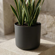 Elho B.for soft - Anthracite - ⌀18 cm ↕17cm