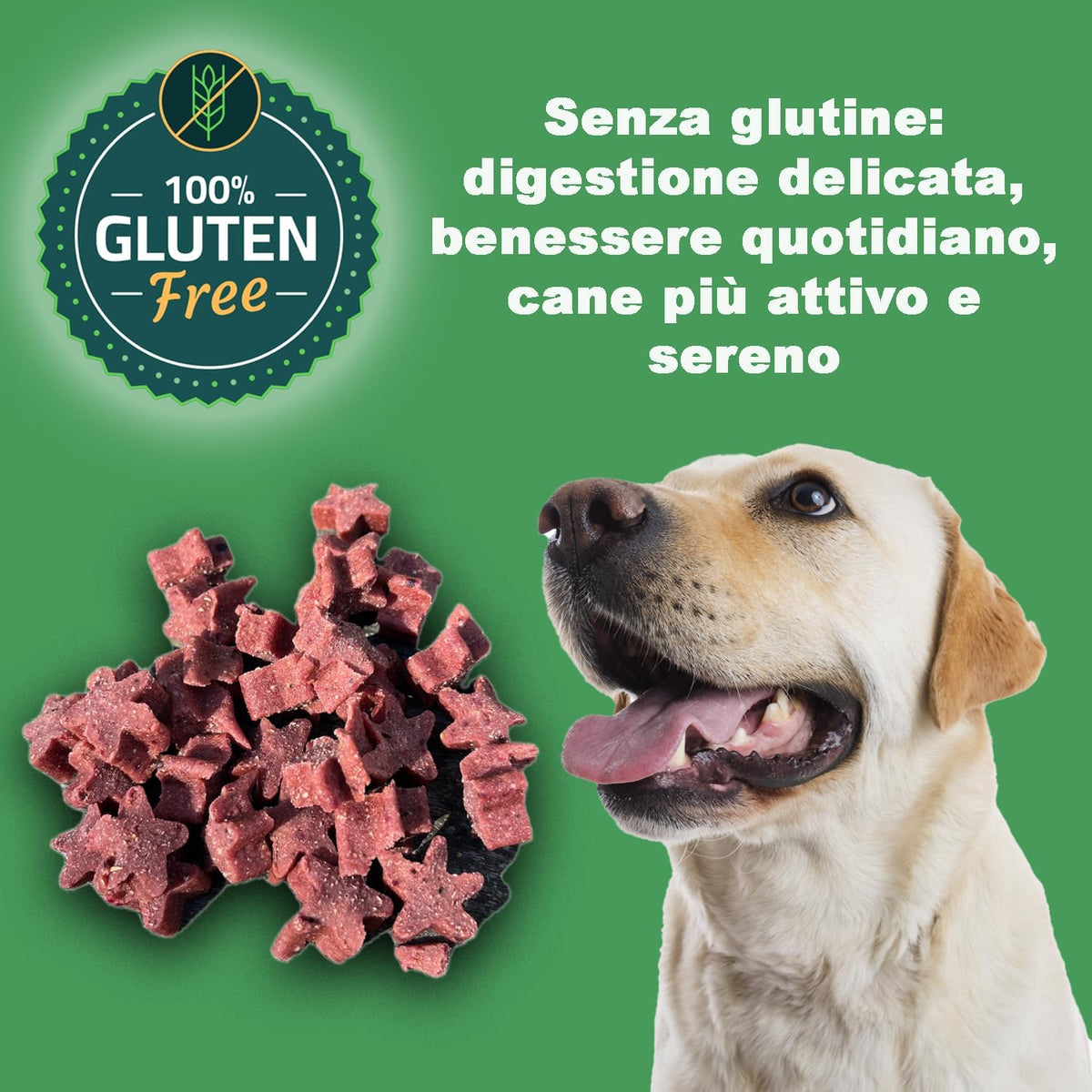 GREENHEART-PREMIUMS | 1 Kg di Snack Stelline Rosse | Masticabili per Cani Vegane e Senza Glutine | Premium | 100% Naturali | No Coloranti o Antiossidanti Chimici