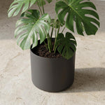 Load image into Gallery viewer, Elho B.for soft, Anthracite - Ø35cm - ↕32,3cm