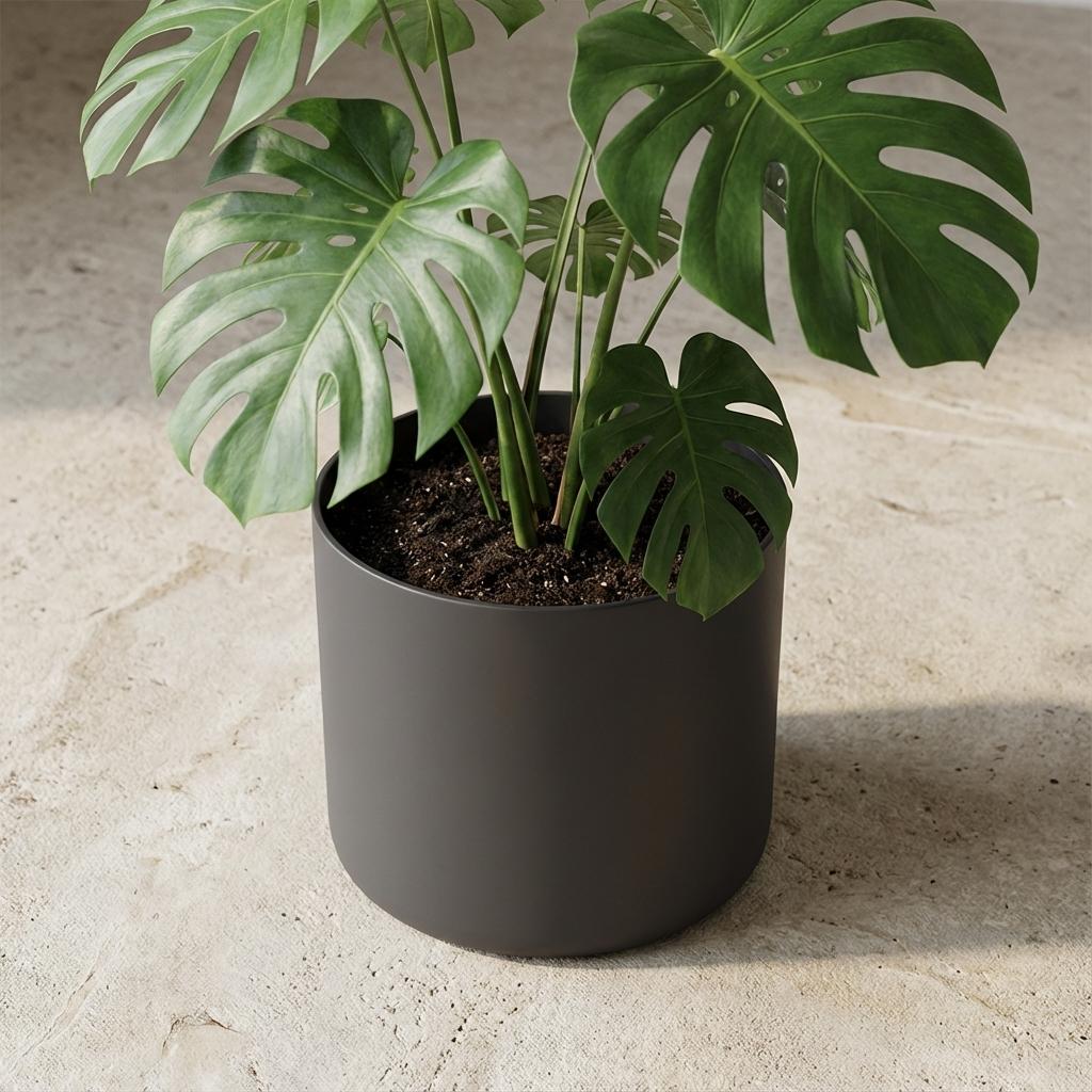 Elho B.for soft, Anthracite - Ø35cm - ↕32,3cm
