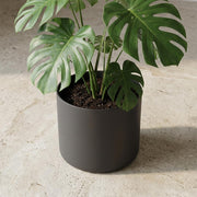 Vaso Elho B. for Soft – Antracite – Ø35 cm