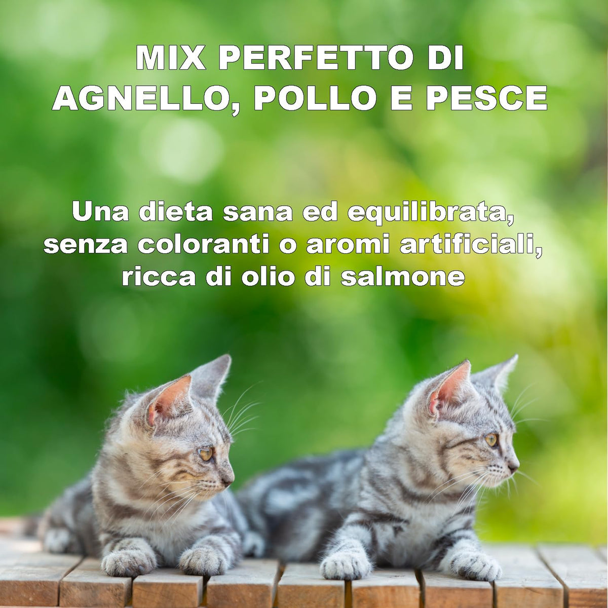 Crocchette 3-MIX per gatti AGNELLO - POLLO - PESCE (4 Kg) - 100% Ingredienti Naturali