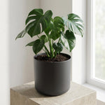 Load image into Gallery viewer, Elho B.for soft - Anthracite - Ø14cm - ↕12,5cm