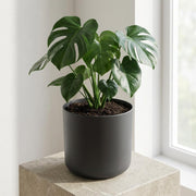 Elho B.for soft - Anthracite - Ø14cm - ↕12,5cm