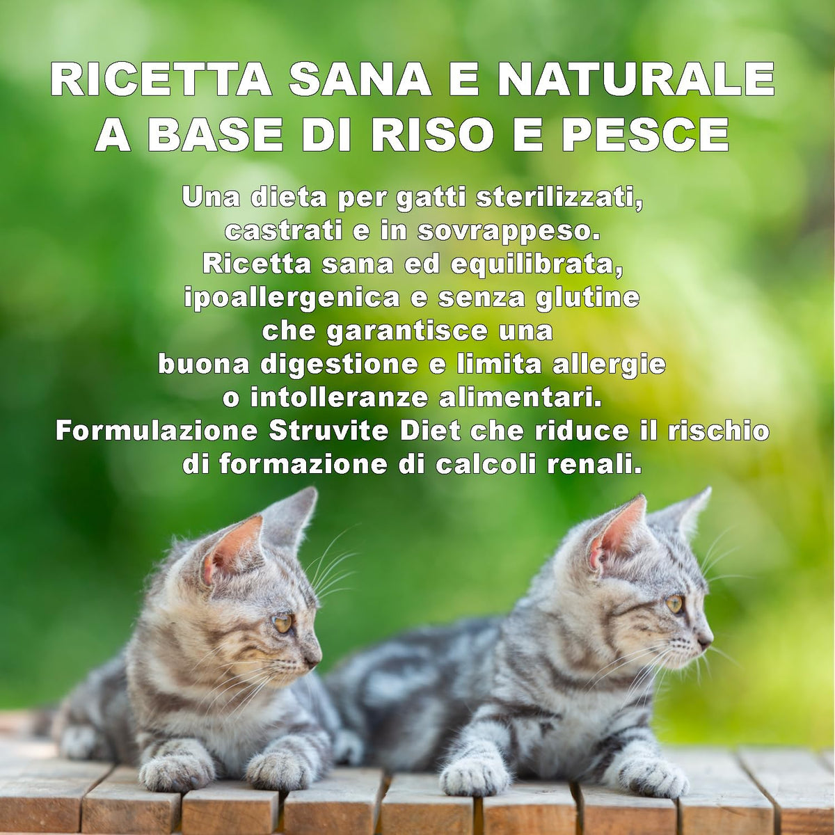 Crocchette veterinarie per gatti 3D DIET (500 gr) - Ipoallergeniche al Pesce, 100% Ingredienti Naturali