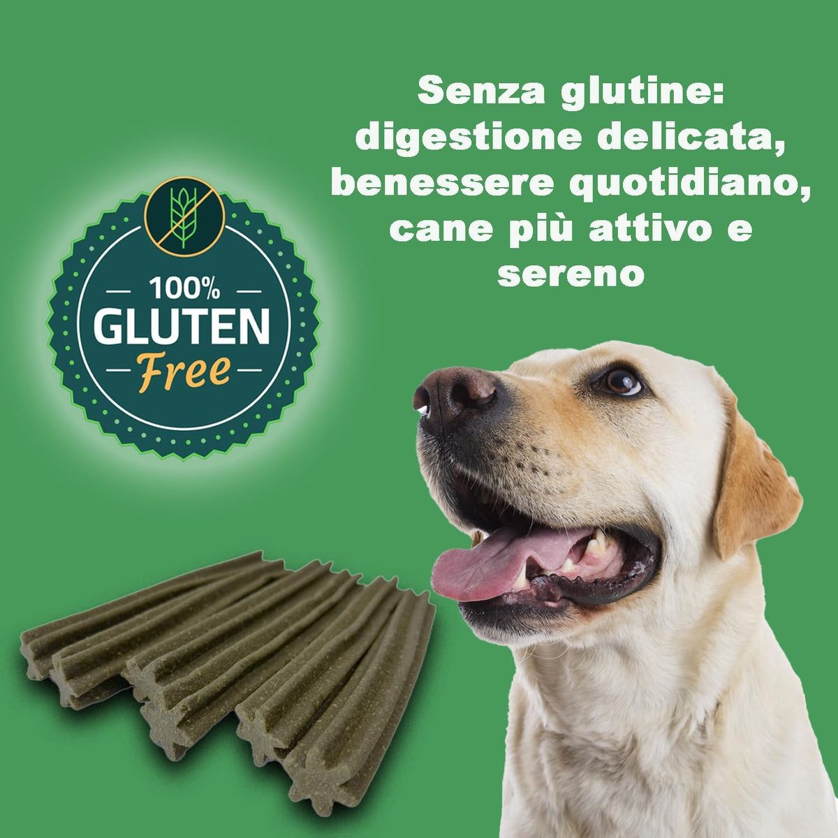 GREENHEART-PREMIUMS | 1 Kg di Snack Barrette Verdi | Masticabili per Cani Vegane e Senza Glutine | Premium | 100% Naturali | No Coloranti o Antiossidanti Chimici