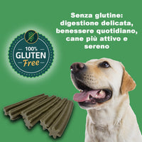 GREENHEART-PREMIUMS | 1 Kg di Snack Barrette Verdi | Masticabili per Cani Vegane e Senza Glutine | Premium | 100% Naturali | No Coloranti o Antiossidanti Chimici
