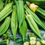 Load image into Gallery viewer, JAPANESE SEED KIT | 5 Seed Packets | Thai Basil (Licorice Basil) | Daikon (Japanese Radish) | Edamame (Soybean) | Okra (Clemson Spineless) | Pak Choi (Chinese Cabbage)