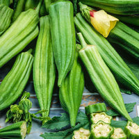 JAPANESE SEED KIT | 5 Seed Packets | Thai Basil (Licorice Basil) | Daikon (Japanese Radish) | Edamame (Soybean) | Okra (Clemson Spineless) | Pak Choi (Chinese Cabbage)