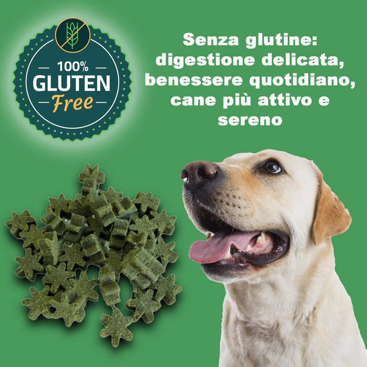 GREENHEART-PREMIUMS | 1 Kg di Snack Stelline Verdi | Masticabili per Cani Vegane e Senza Glutine | Premium | 100% Naturali | No Coloranti o Antiossidanti Chimici