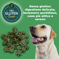 GREENHEART-PREMIUMS | 1 Kg di Snack Stelline Verdi | Masticabili per Cani Vegane e Senza Glutine | Premium | 100% Naturali | No Coloranti o Antiossidanti Chimici