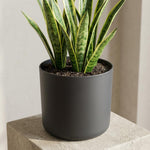 Load image into Gallery viewer, Elho B.for soft - Anthracite - ⌀22 cm ↕20cm