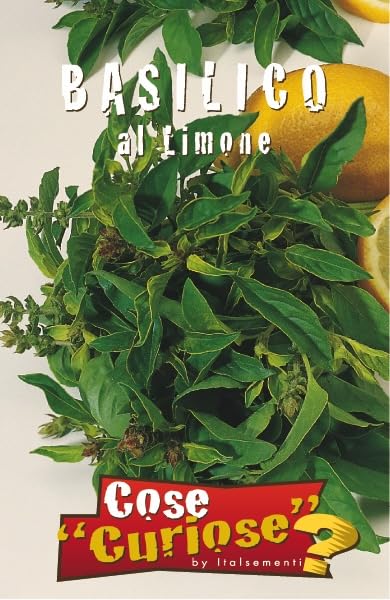 BASIL SEED KIT | 5 Seed Packets | Classic Italian (Genovese) – Red – Lemon – Cinnamon – Lettuce Leaf