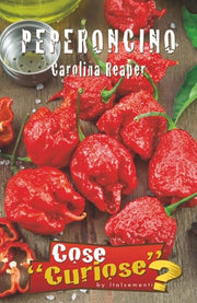 CHILI PEPPER SEED KIT | 5 Seed Packets | Jalapeño | Thai Dragon | Habanero Red | Cherry Chili (Bacio di Satana) | Carolina Reaper | Grow the heat at home!