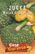 Load image into Gallery viewer, KIT DI SEMENTI DI ZUCCA EDIBILE | 5 Bustine di SEMI | Zucca BUTTERNUT - Zucca DELICA - Zucca MARINA DI CHIOGGIA - Zucca MUSQUEE DE PROVENCE - Zucca RED KURI