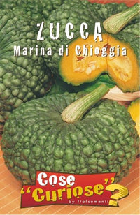 KIT DI SEMENTI DI ZUCCA EDIBILE | 5 Bustine di SEMI | Zucca BUTTERNUT - Zucca DELICA - Zucca MARINA DI CHIOGGIA - Zucca MUSQUEE DE PROVENCE - Zucca RED KURI