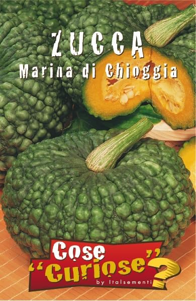 KIT DI SEMENTI DI ZUCCA EDIBILE | 5 Bustine di SEMI | Zucca BUTTERNUT - Zucca DELICA - Zucca MARINA DI CHIOGGIA - Zucca MUSQUEE DE PROVENCE - Zucca RED KURI