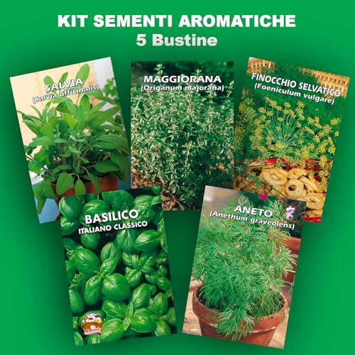Aromatic Plant  Seed Kit - 5 Bags of Seeds (Classic Italian Basil, Dill, Wild Fennel, Sage, Marjoram)
