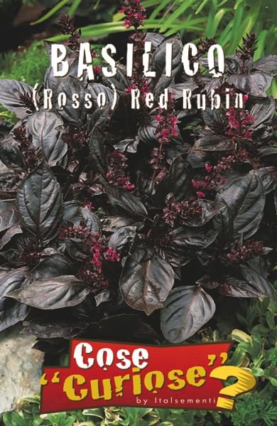 BASIL SEED KIT | 5 Seed Packets | Classic Italian (Genovese) – Red – Lemon – Cinnamon – Lettuce Leaf