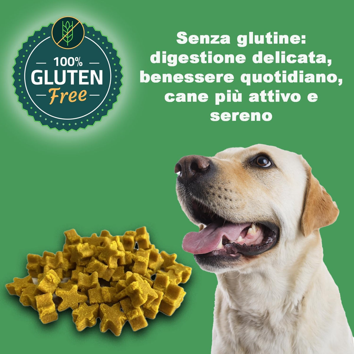 Yellow Stars Snacks For Dogs (1 Kg) - 100% Natural and Vegan Ingredients