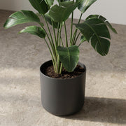 Elho B.for soft - Anthracite - ⌀18 cm ↕17cm