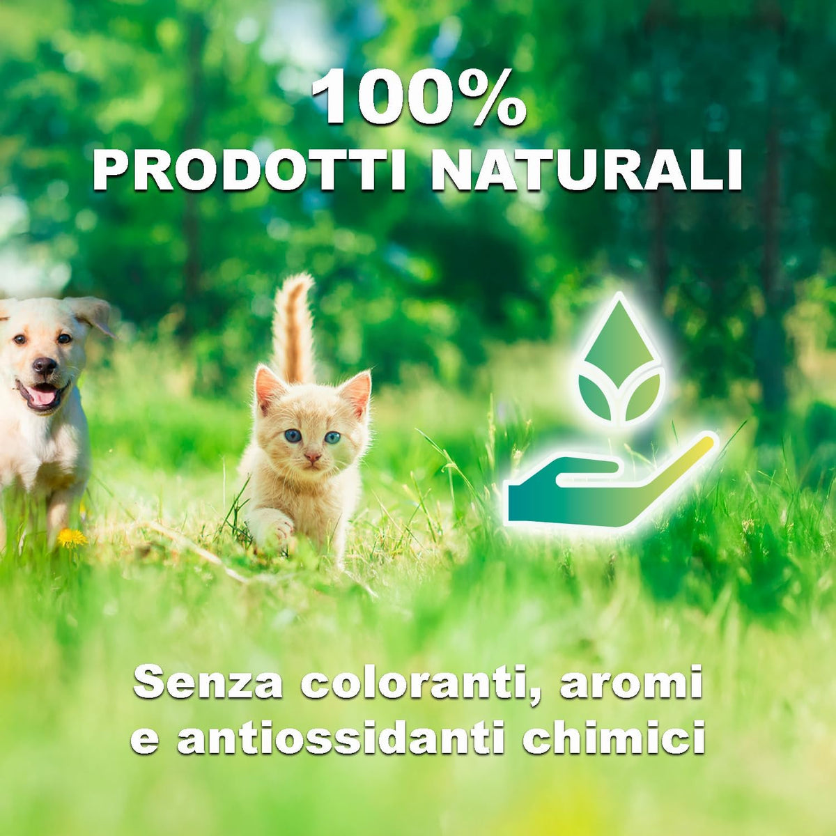Crocchette 3-MIX per gatti AGNELLO - POLLO - PESCE (4 Kg) - 100% Ingredienti Naturali