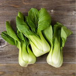 Load image into Gallery viewer, JAPANESE SEED KIT | 5 Seed Packets | Thai Basil (Licorice Basil) | Daikon (Japanese Radish) | Edamame (Soybean) | Okra (Clemson Spineless) | Pak Choi (Chinese Cabbage)