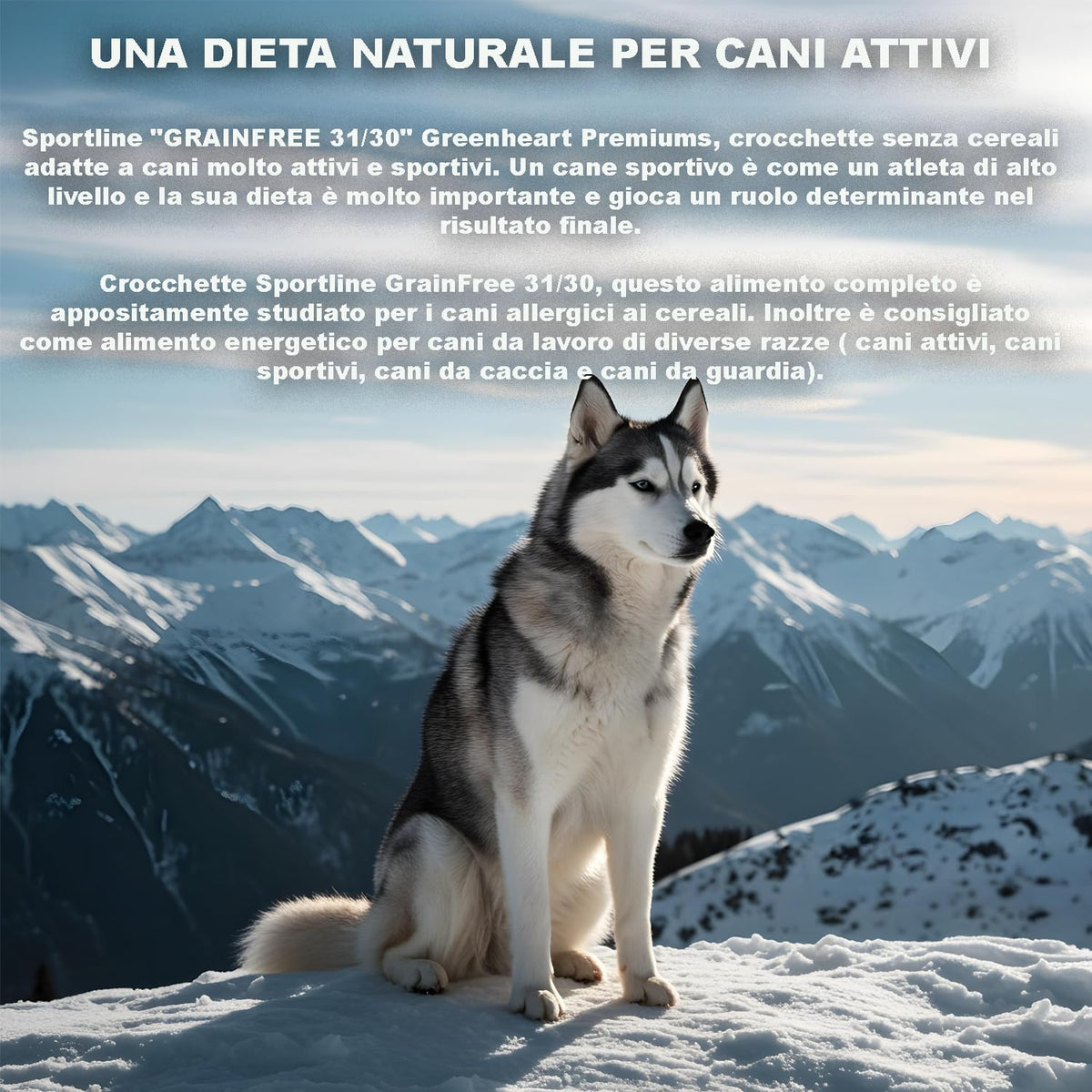 Grain-Free Sportline 31/30 Dog Kibble (3 kg) - 100% Natural Ingredients