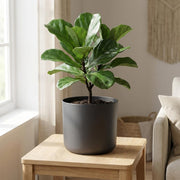 Elho B.for soft - Anthracite - ⌀22 cm ↕20cm