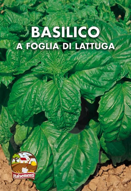 BASIL SEED KIT | 5 Seed Packets | Classic Italian (Genovese) – Red – Lemon – Cinnamon – Lettuce Leaf