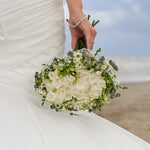 Load image into Gallery viewer, Freesia Double, WHITE - 10 Bulbs
