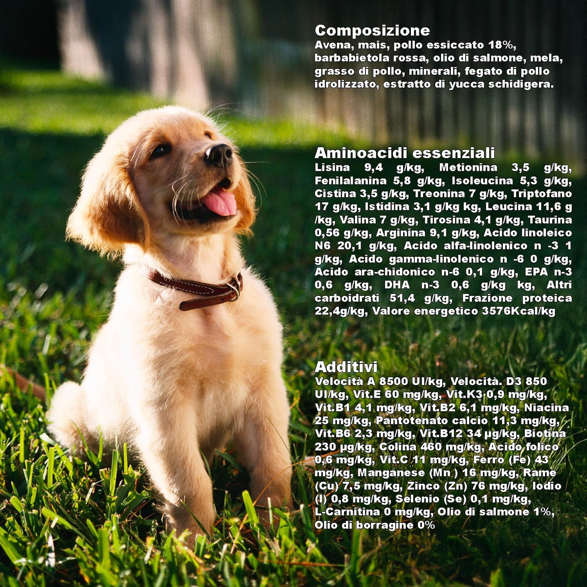 Adult Dog Kibble NORMAL USE LIGHT (3 kg) - 100% Natural Ingredients