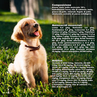 Adult Dog Kibble NORMAL USE LIGHT (3 kg) - 100% Natural Ingredients