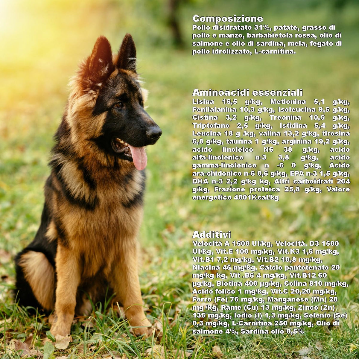Grain-Free Sportline 31/30 Dog Kibble (3 kg) - 100% Natural Ingredients