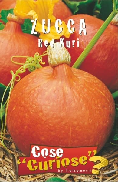 KIT DI SEMENTI DI ZUCCA EDIBILE | 5 Bustine di SEMI | Zucca BUTTERNUT - Zucca DELICA - Zucca MARINA DI CHIOGGIA - Zucca MUSQUEE DE PROVENCE - Zucca RED KURI