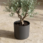 Load image into Gallery viewer, Elho B.for soft - Anthracite - ⌀18 cm ↕17cm
